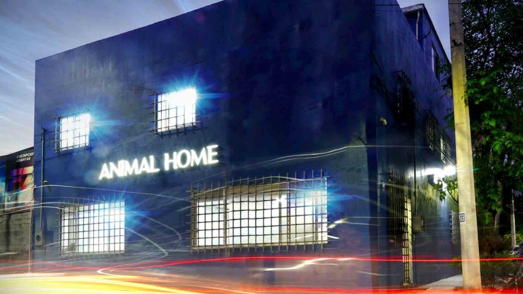 CLINICA VETERINARIA ANIMAL HOME 1 clinica veterinaria animal home