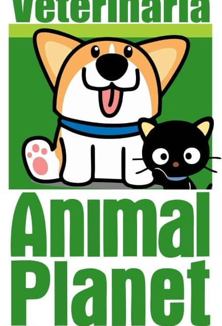 Clínica Veterinaria Animal Planet 1 clinica veterinaria animal planet