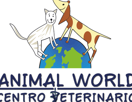 Clínica veterinaria Animal's World 1 clinica veterinaria animals world