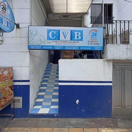 Clinica veterinaria bello 1 clinica veterinaria bello