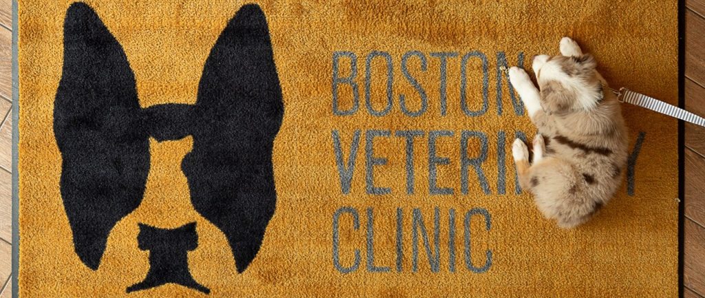 Clínica Veterinaria Boston 1 clinica veterinaria boston