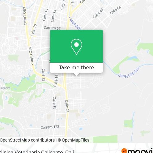 Clinica Veterinaria Calicanto 1 clinica veterinaria calicanto