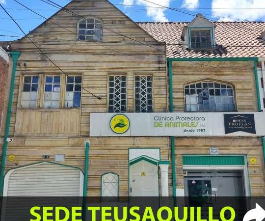 Clínica Veterinaria CPA - Urgencias 24 horas - Sede Teusaquillo - Bogotá 1 clinica veterinaria cpa urgencias 24 horas sede teusaquillo bogota