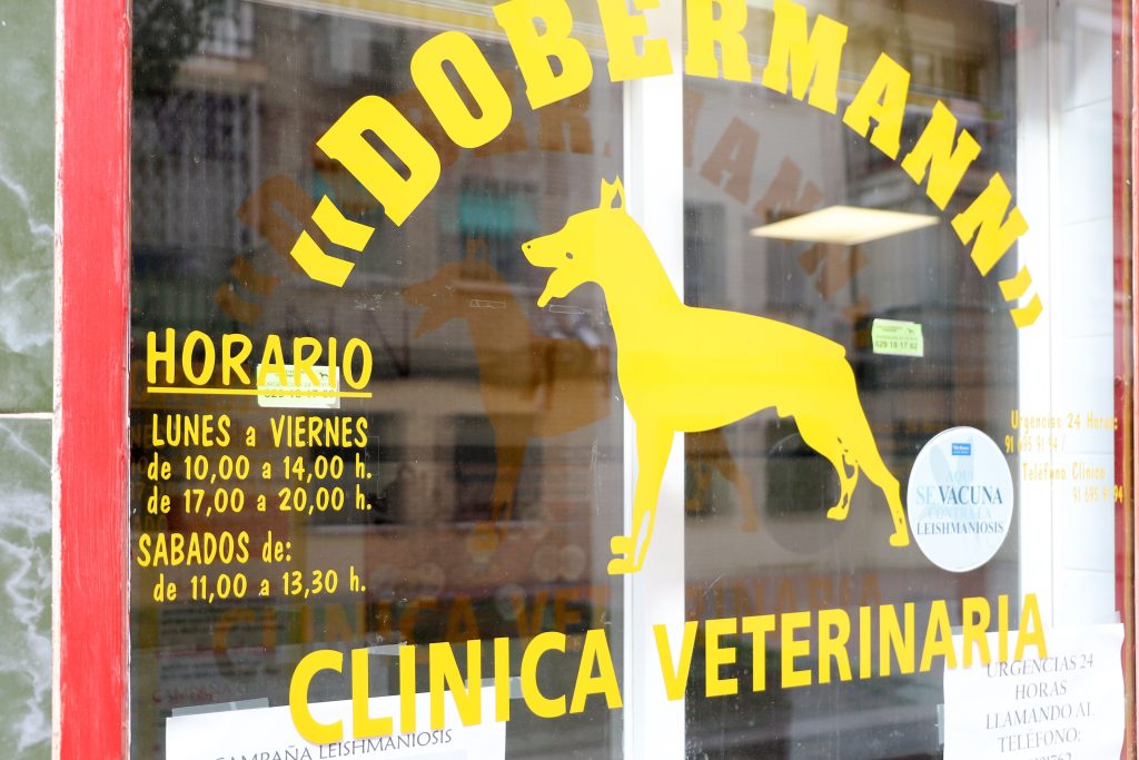 Clínica veterinaria doberman ️ 1 clinica veterinaria doberman efb88f