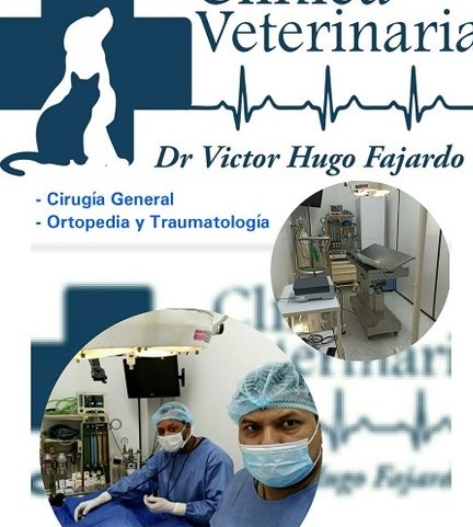 Clínica Veterinaria Dr. Víctor Hugo Fajardo V 1 clinica veterinaria dr victor hugo fajardo v