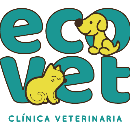 Clinica Veterinaria Ecovet 1 clinica veterinaria ecovet