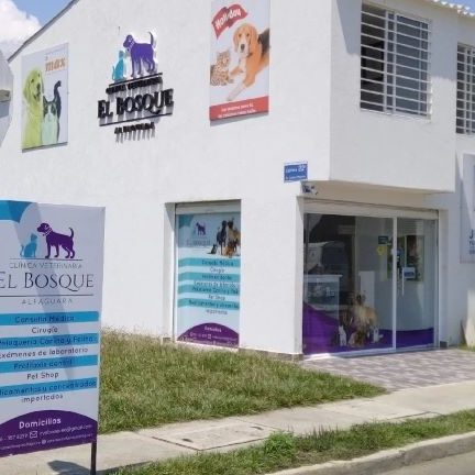 Clínica Veterinaria El Bosque Alfaguara 1 clinica veterinaria el bosque alfaguara