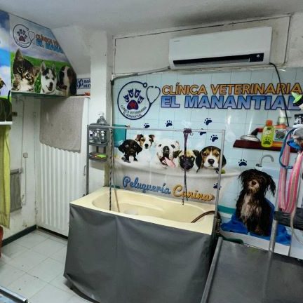 Clinica veterinaria el manantial 1 clinica veterinaria el manantial