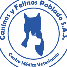 Clínica Veterinaria El Poblado SAS 1 clinica veterinaria el poblado sas