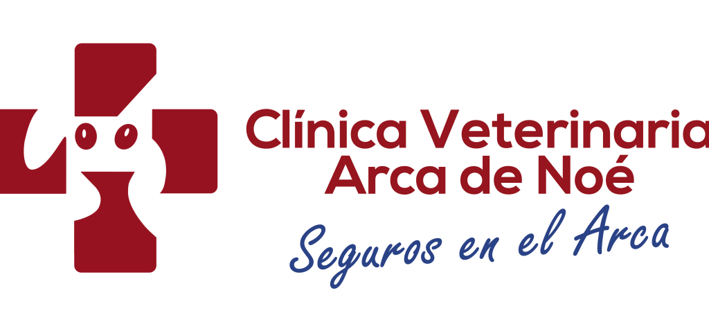 | clinica veterinaria en pereira | Arca de Noe 1 clinica veterinaria en pereira arca de noe