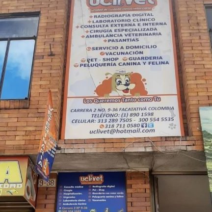 Clínica Veterinaria Facatativá 1 clinica veterinaria facatativa