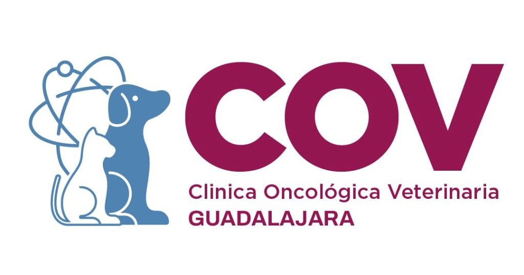 Clínica Veterinaria Guadalajara 1 clinica veterinaria guadalajara