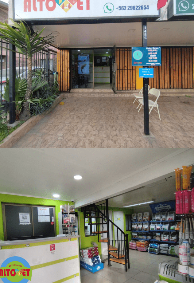 Clinica Veterinaria HalconVet 1 clinica veterinaria halconvet