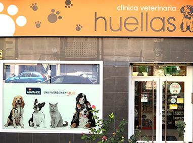 Clínica Veterinaria Huella's 1 clinica veterinaria huellas 1