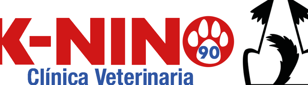 Clínica Veterinaria K-Ninos 1 clinica veterinaria k ninos