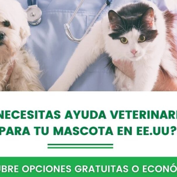 Clínica Veterinaria La Casa de su Mascota 1 clinica veterinaria la casa de su mascota