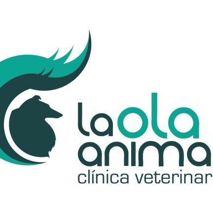 Clínica Veterinaria La Ola Animal 1 clinica veterinaria la ola animal