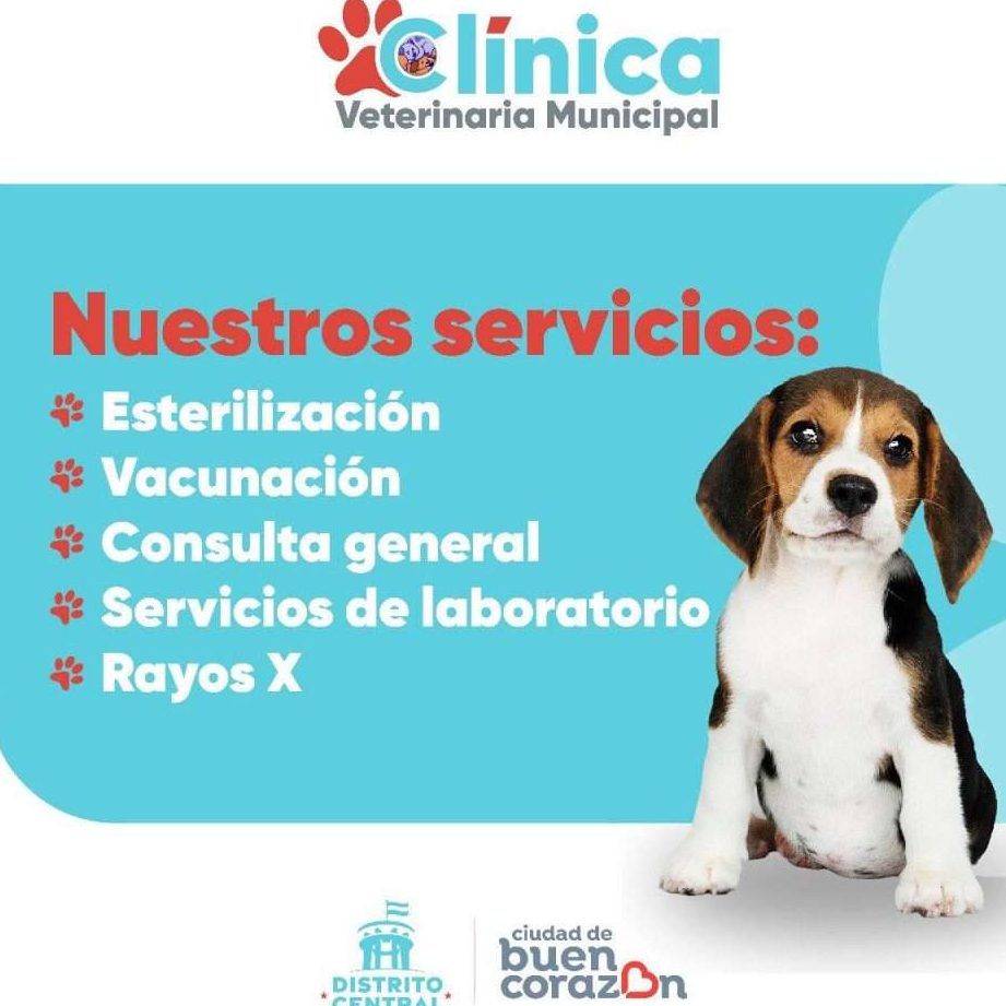 Clínica Veterinaria Los Perritos 1 clinica veterinaria los perritos