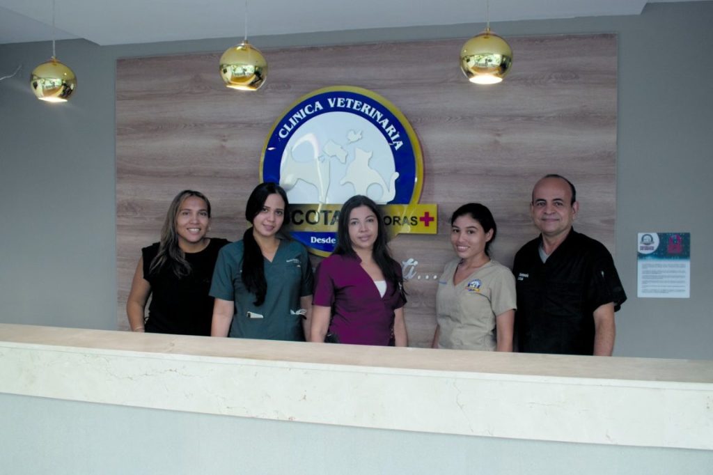 Clínica Veterinaria Mascotas 24 Horas 1 clinica veterinaria mascotas 24 horas