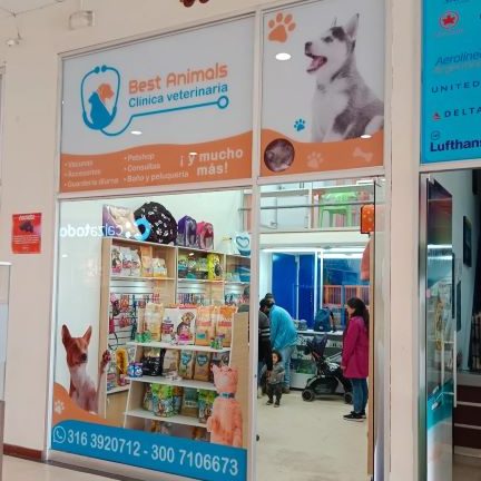 Clinica veterinaria MegaPets Zipaquira 1 clinica veterinaria megapets zipaquira