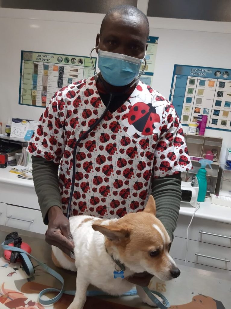 Clinica Veterinaria Mi +cota 1 clinica veterinaria mi cota