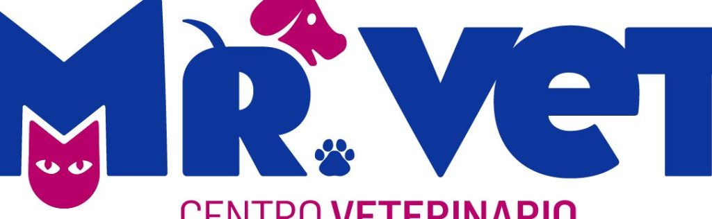 Clínica Veterinaria Mr Vet 1 clinica veterinaria mr vet