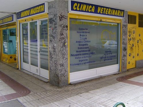 CLÍNICA VETERINARIA MUNDO MASCOTAS 1 clinica veterinaria mundo mascotas