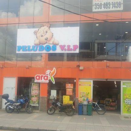 Clínica Veterinaria Peludos V.I.P 1 clinica veterinaria peludos v i p