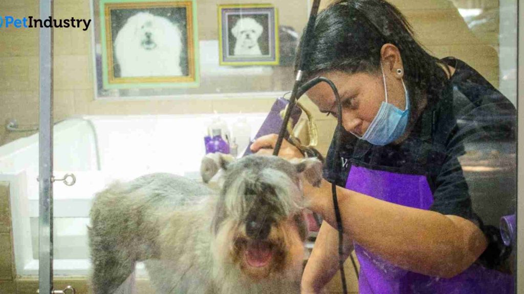 Clínica veterinaria PetHouse SAS 1 clinica veterinaria pethouse sas