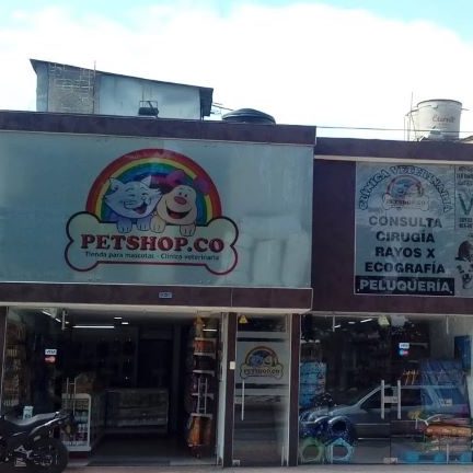 Clínica Veterinaria PetShop.Co 1 clinica veterinaria petshop co