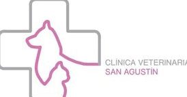 Clínica Veterinaria San Agustin 1 clinica veterinaria san agustin