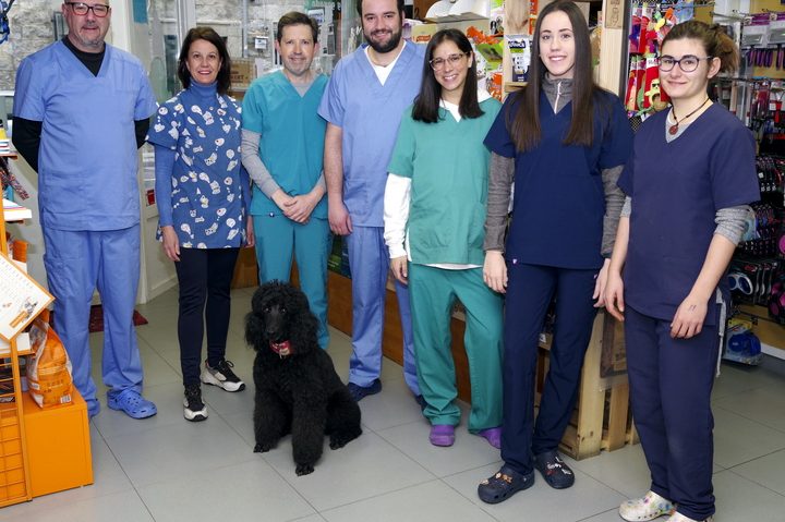 Clínica Veterinaria - San Antonio 1 clinica veterinaria san antonio