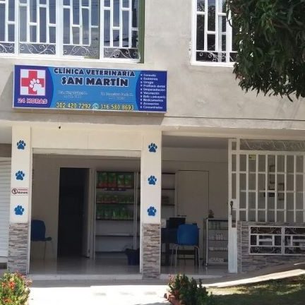 Clinica Veterinaria San Martin Piedecuesta 1 clinica veterinaria san martin piedecuesta