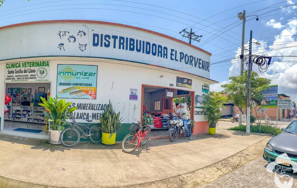 clinica veterinaria santa cecilia