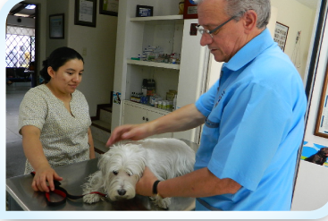 Clinica Veterinaria Tequendama 1 clinica veterinaria tequendama