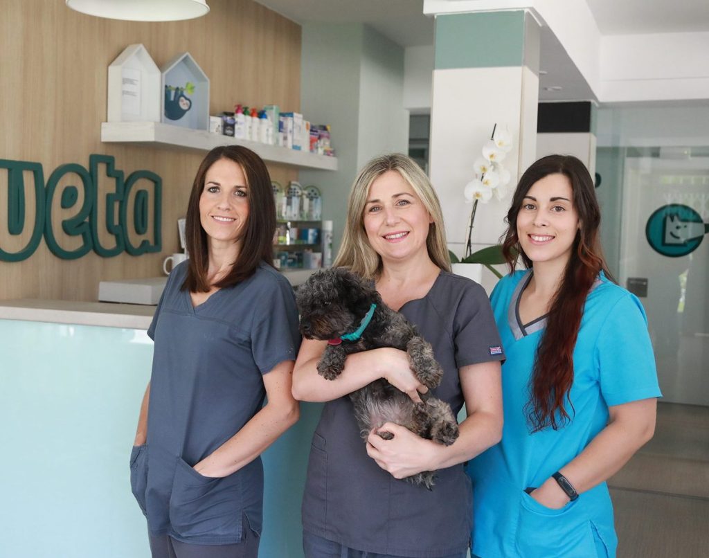 Clínica Veterinaria VETAS 1 clinica veterinaria vetas