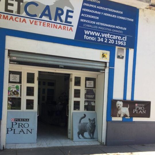 Clínica Veterinaria VetCare 1 clinica veterinaria vetcare
