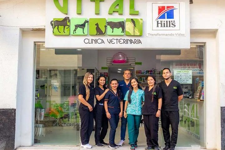 Clinica Veterinaria Vital Villeta 1 clinica veterinaria vital villeta