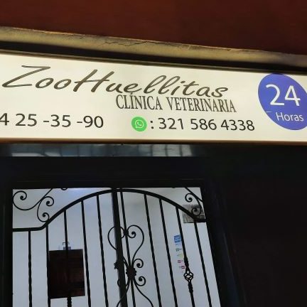 clinica veterinaria zoohuellitas