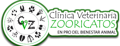 Clínica Veterinaria Zooricatos 1 clinica veterinaria zooricatos