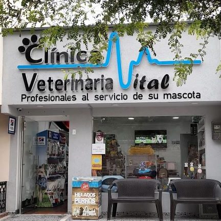 Clinivet Cartago 1 clinivet cartago