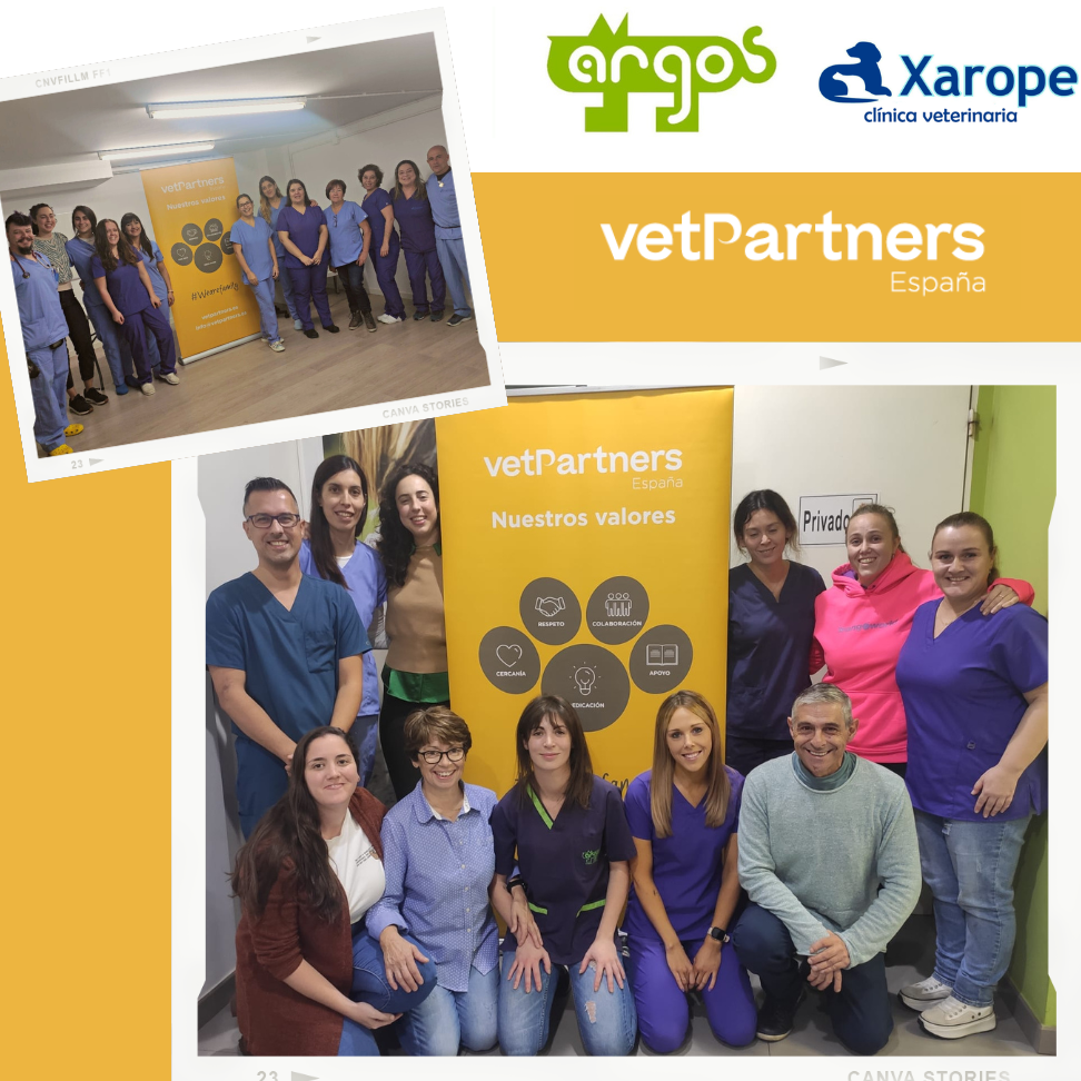 clinivet RODRIGUEZ & HERNANDEZ 1 clinivet rodriguez hernandez