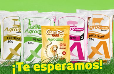 Colanta, Agroveterinaria 1 colanta agroveterinaria