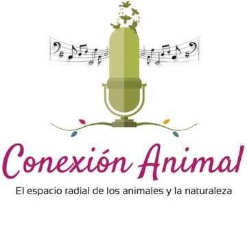 Conexion Animal 1 conexion animal