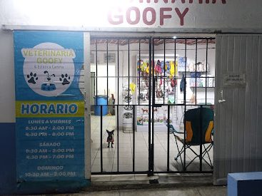 Consultorio Veterinario Goofy 1 consultorio veterinario goofy