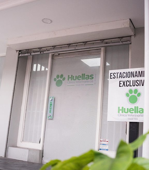 Consultorio Veterinario Huellas y Colas 1 consultorio veterinario huellas y colas