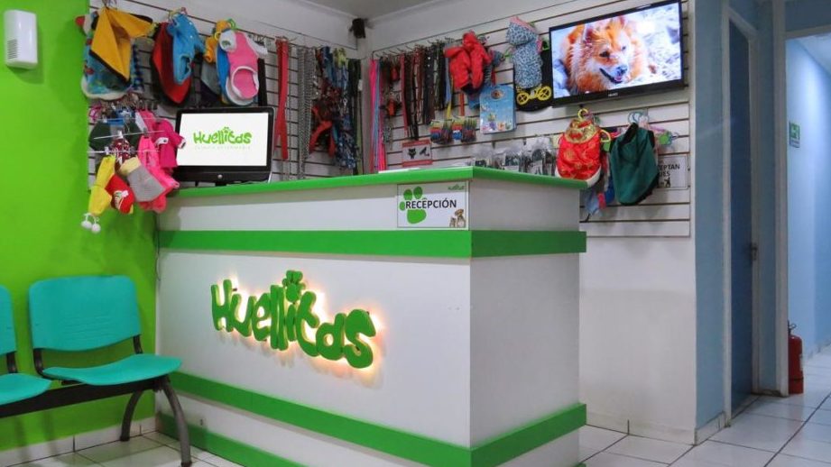 Consultorio Veterinario Huellitas 1 consultorio veterinario huellitas