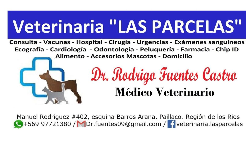 consultorio veterinario la parcela 1 consultorio veterinario la parcela