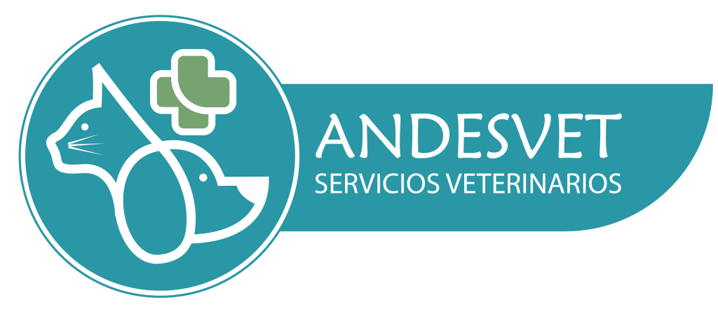Consultorio Veterinario Los Andes 1 consultorio veterinario los andes