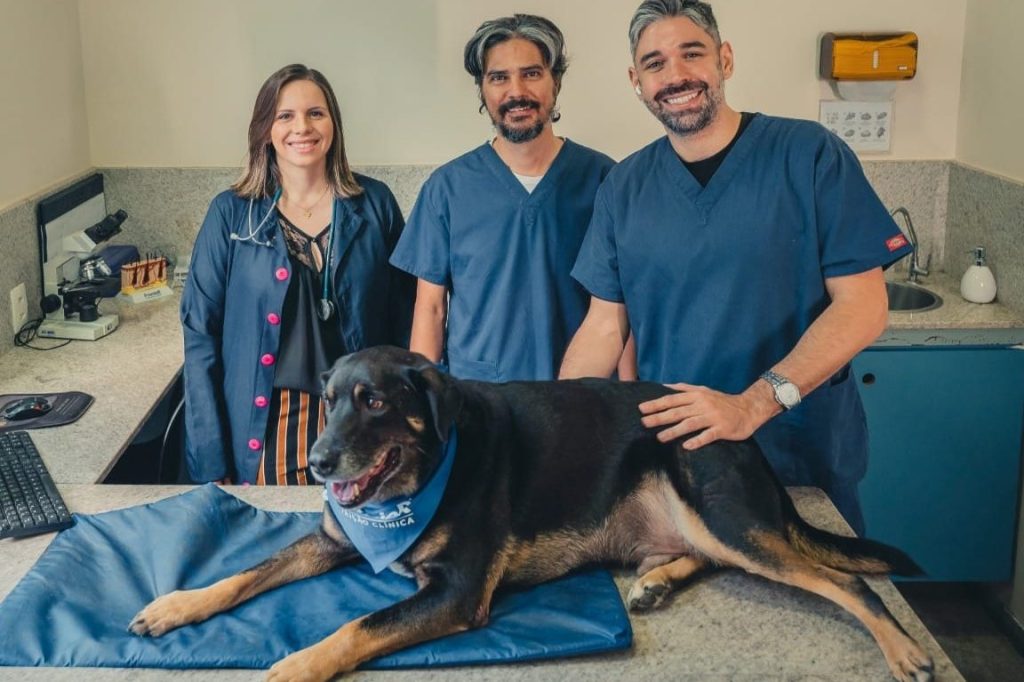 Consultorio veterinario Med Vet 1 consultorio veterinario med vet